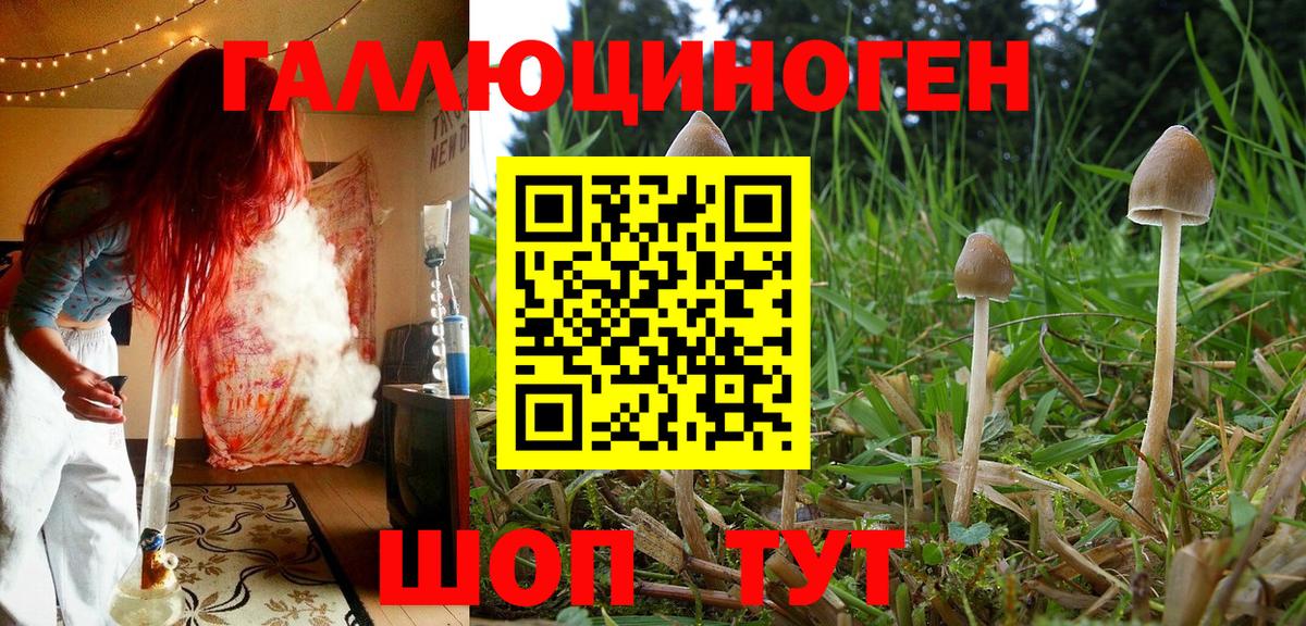 Псилоцибиновые грибы Magic Shrooms  Вход с VPN  купить наркоту  Отрадное 